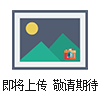 供應(yīng)大流量PP折疊濾芯